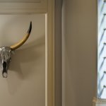 steer head