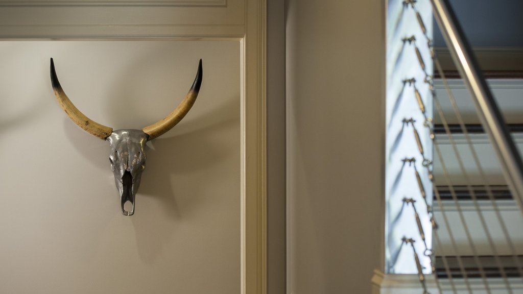 steer head